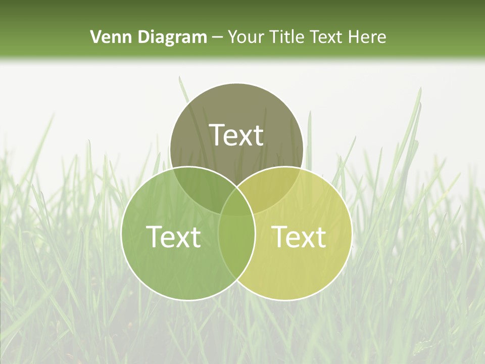 Harmony Plant Field PowerPoint Template