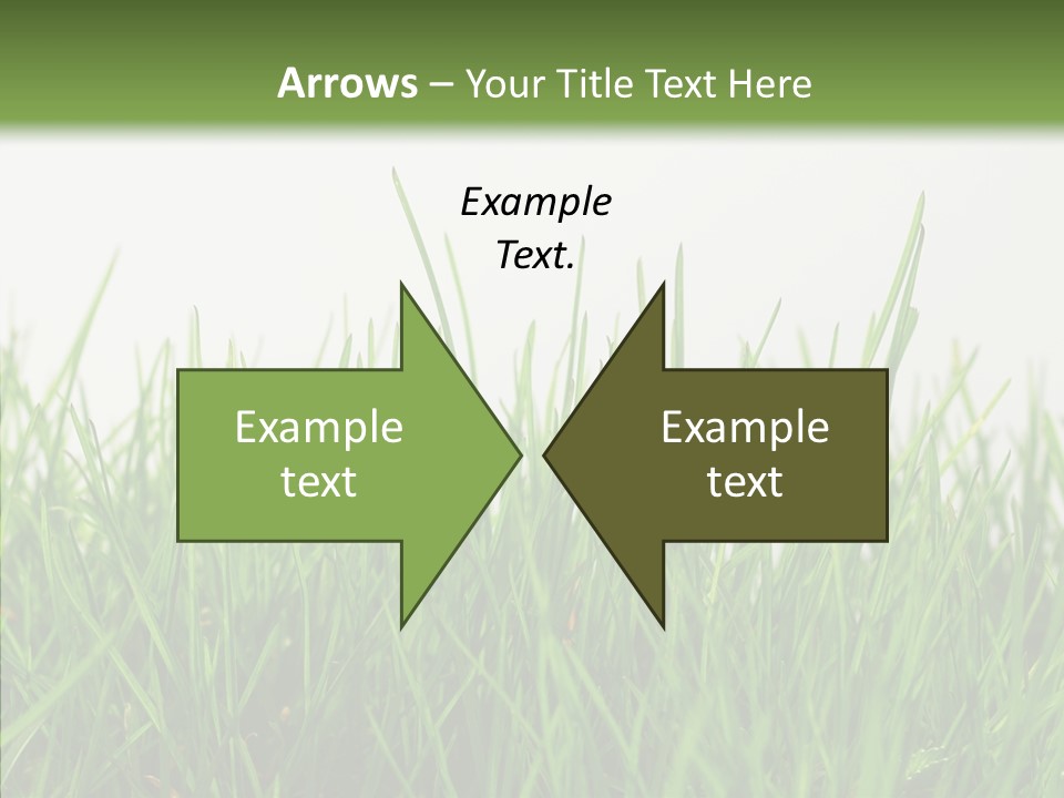 Harmony Plant Field PowerPoint Template