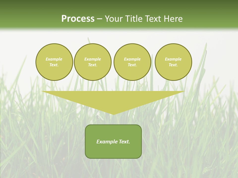 Harmony Plant Field PowerPoint Template