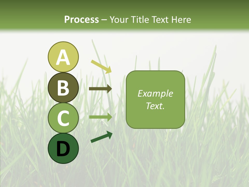 Harmony Plant Field PowerPoint Template