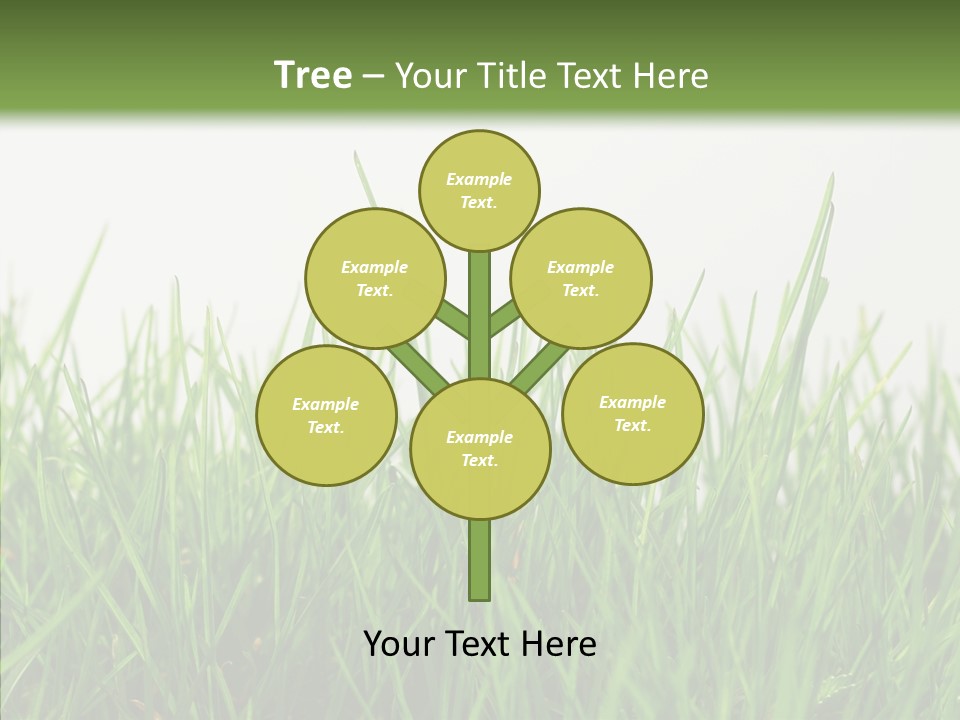 Harmony Plant Field PowerPoint Template