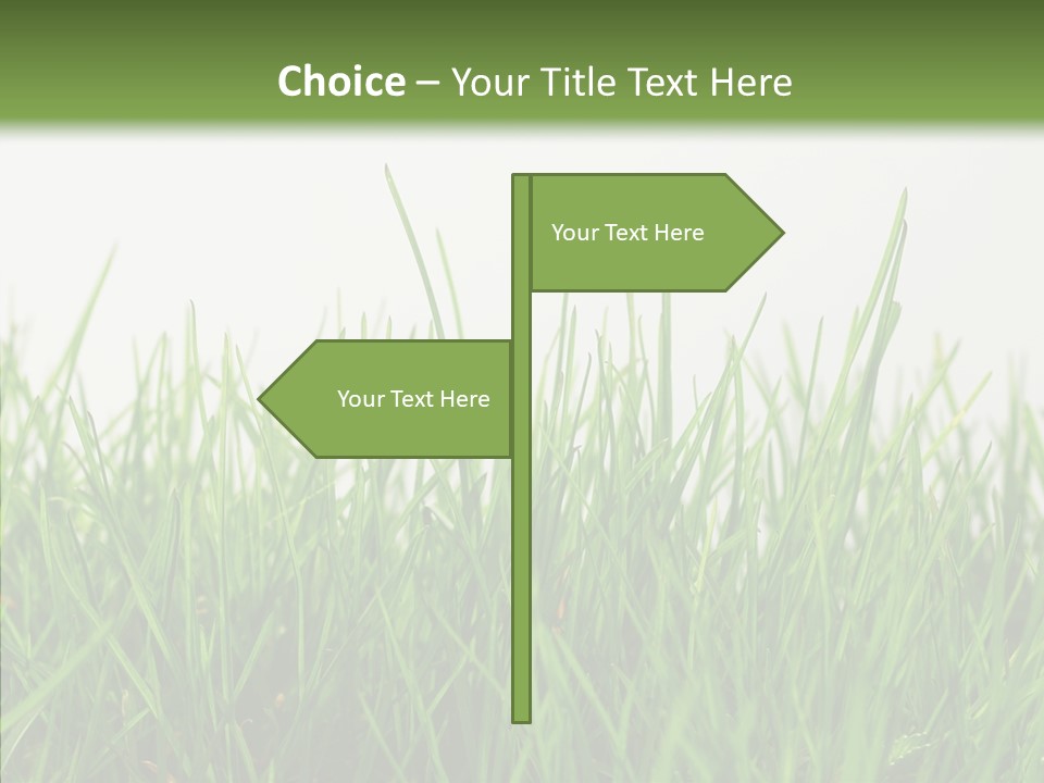 Harmony Plant Field PowerPoint Template