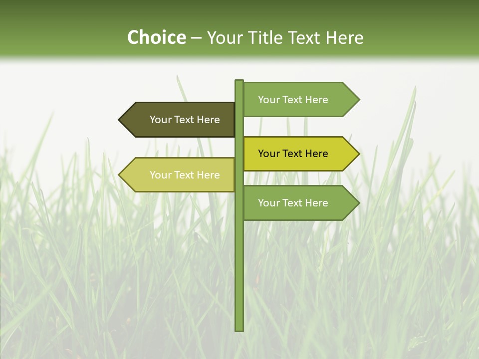 Harmony Plant Field PowerPoint Template