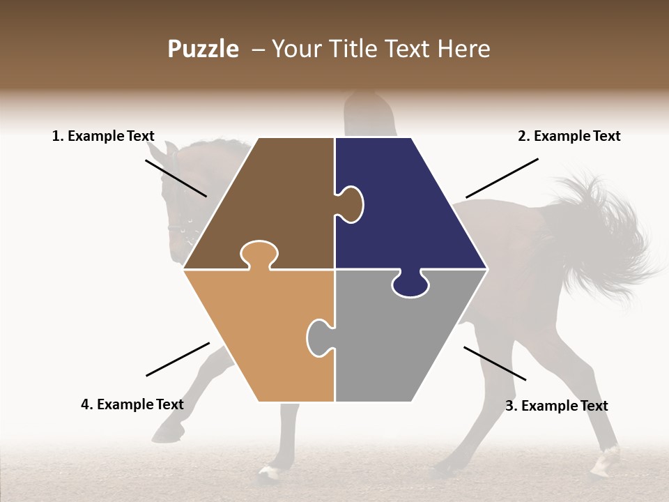 Collection Sorrel Woman PowerPoint Template