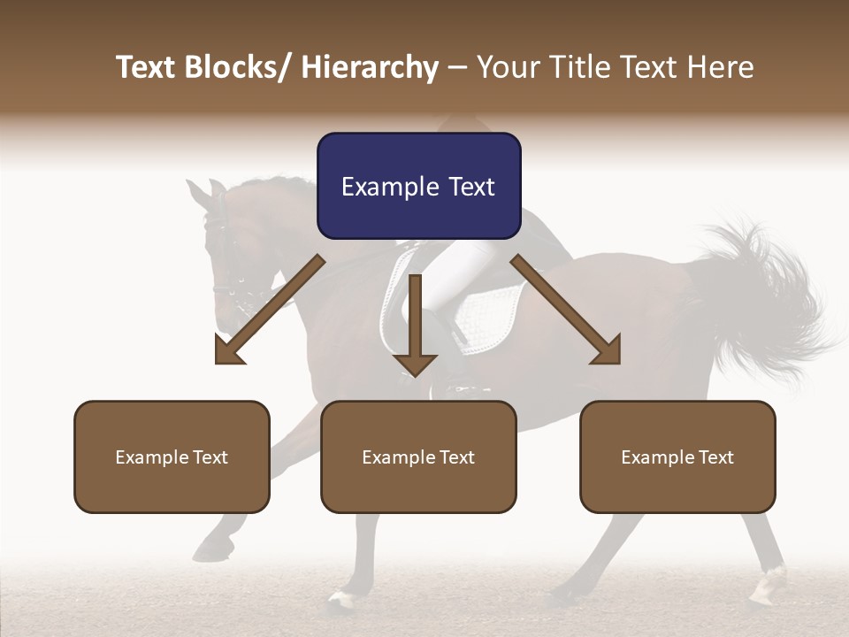 Collection Sorrel Woman PowerPoint Template