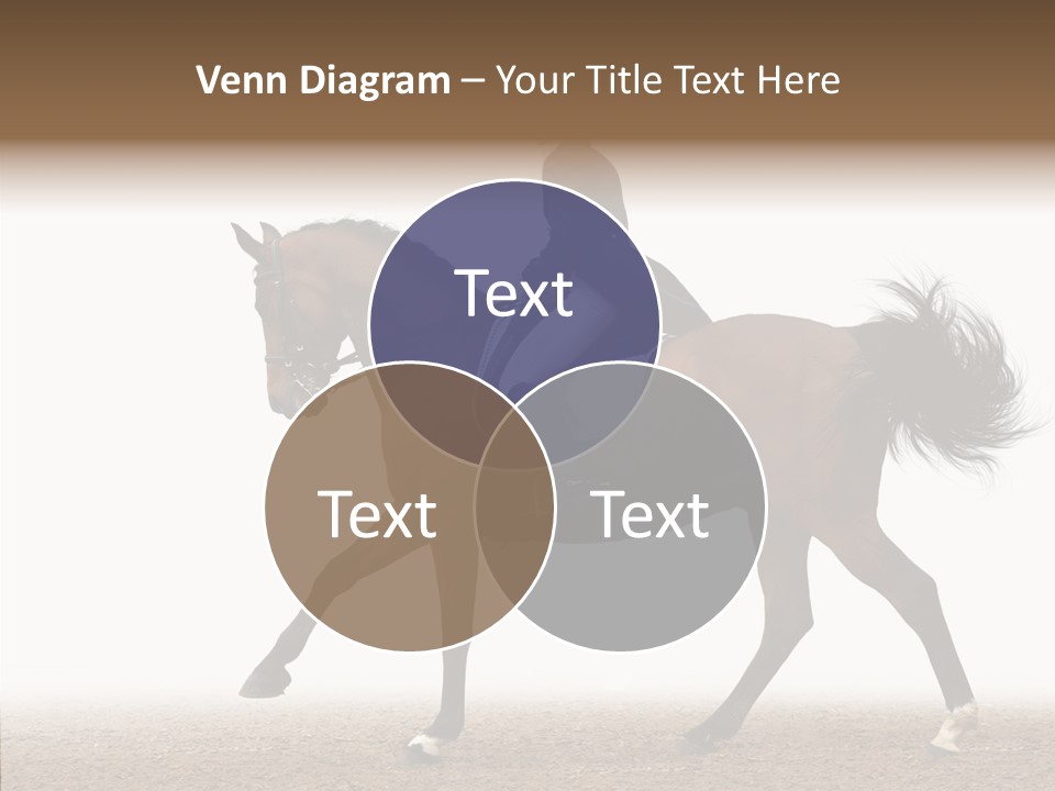 Collection Sorrel Woman PowerPoint Template