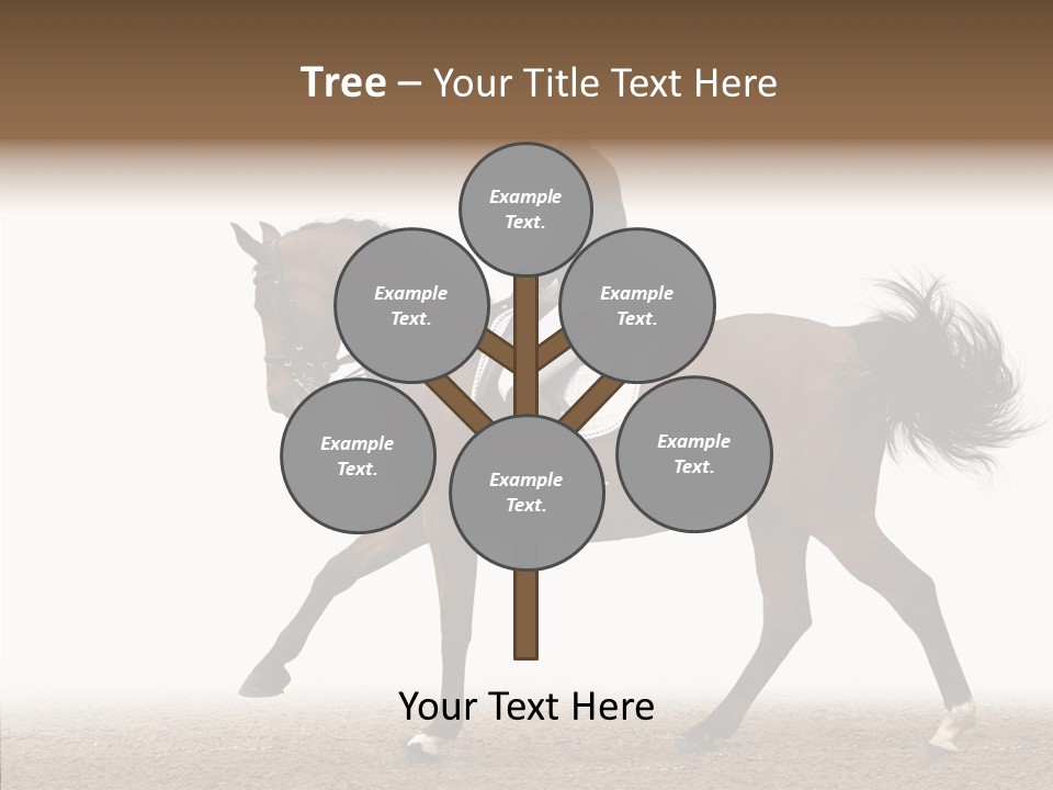 Collection Sorrel Woman PowerPoint Template