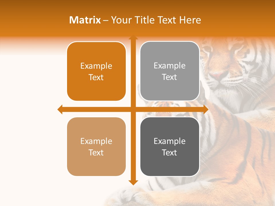 Teeth Hunter Siberian PowerPoint Template