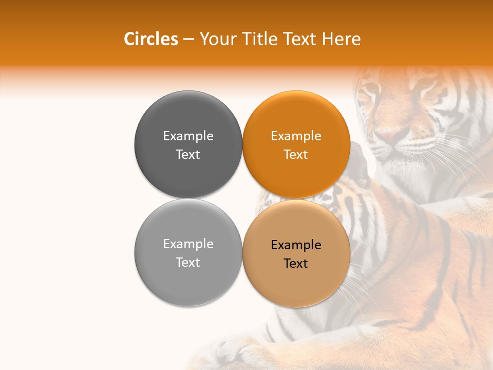 Teeth Hunter Siberian PowerPoint Template