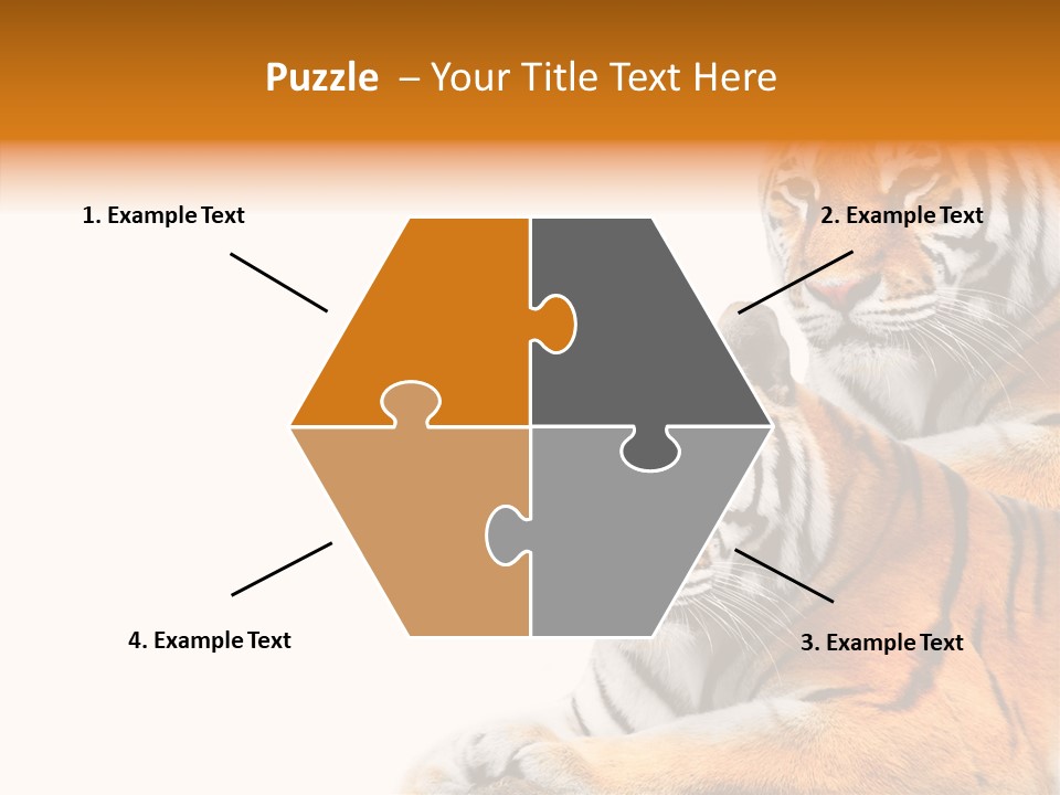 Teeth Hunter Siberian PowerPoint Template