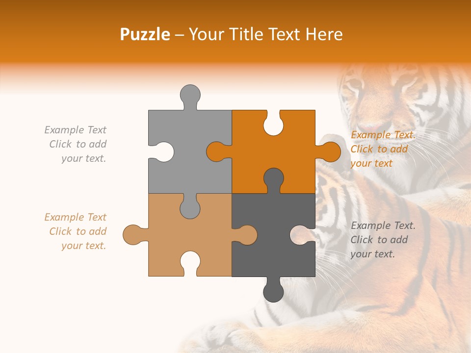 Teeth Hunter Siberian PowerPoint Template