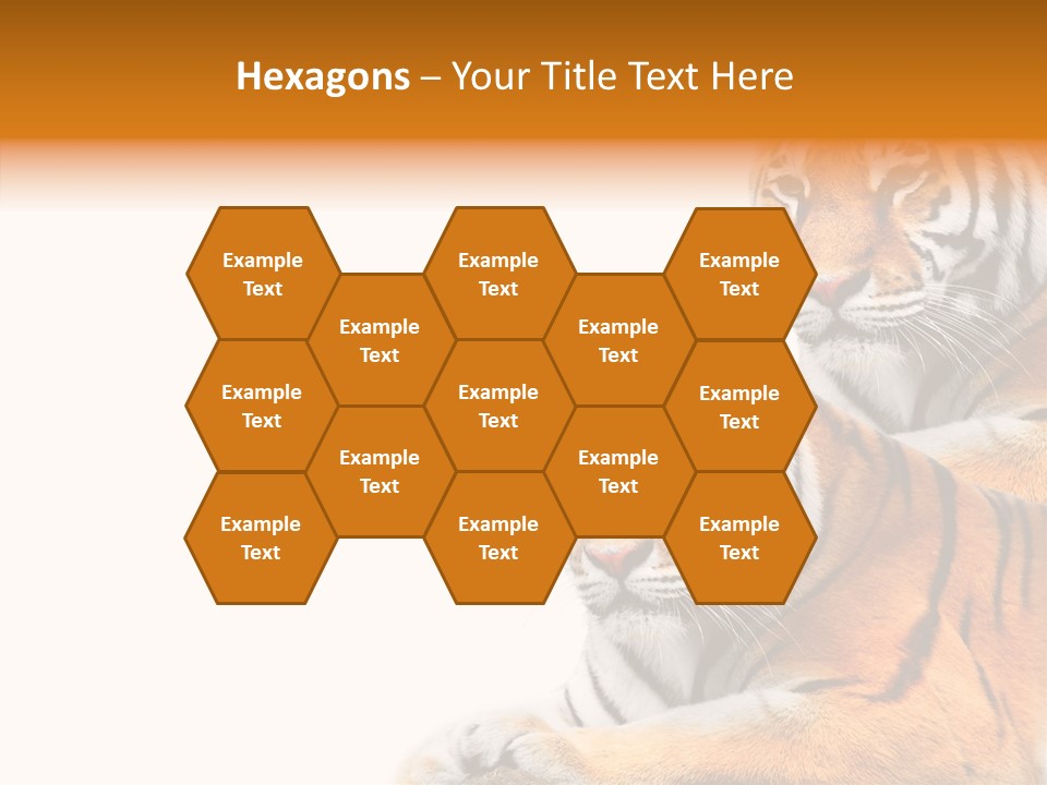 Teeth Hunter Siberian PowerPoint Template