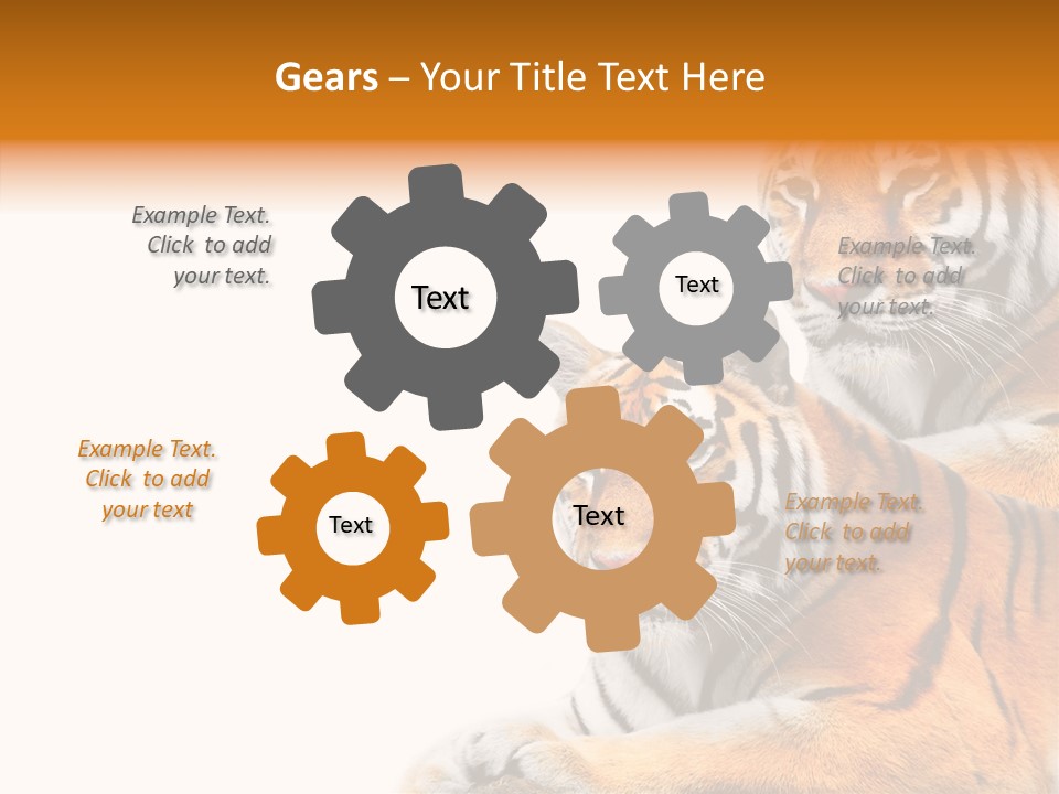 Teeth Hunter Siberian PowerPoint Template