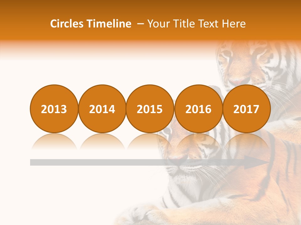 Teeth Hunter Siberian PowerPoint Template