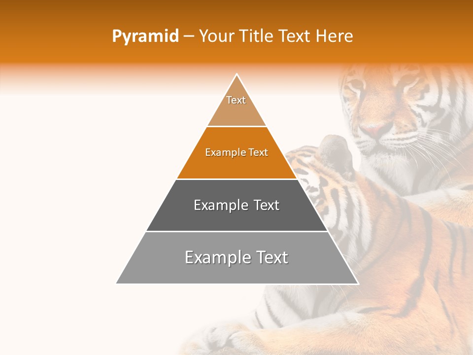 Teeth Hunter Siberian PowerPoint Template