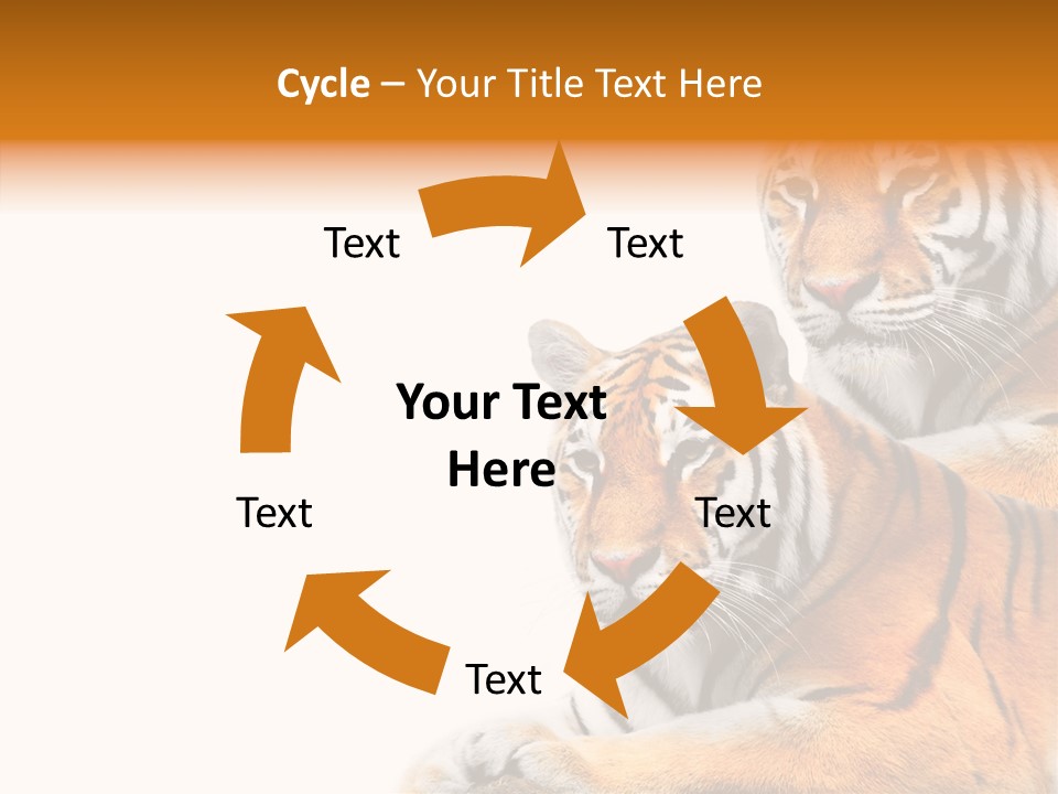 Teeth Hunter Siberian PowerPoint Template