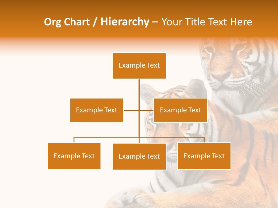 Teeth Hunter Siberian PowerPoint Template