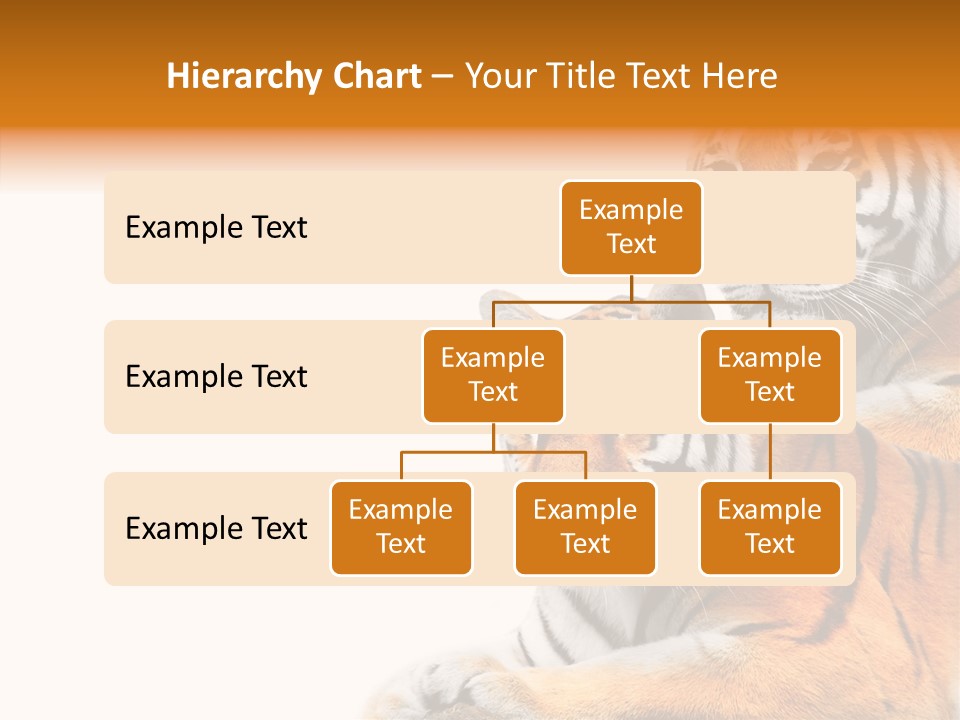 Teeth Hunter Siberian PowerPoint Template