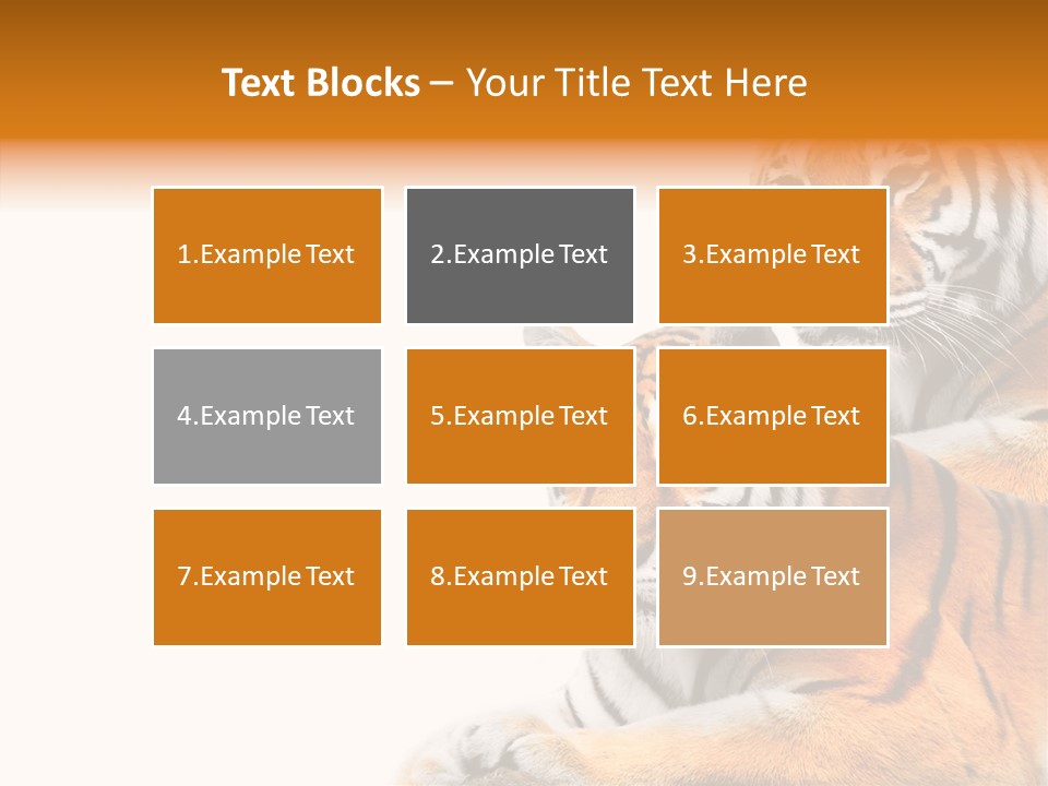 Teeth Hunter Siberian PowerPoint Template