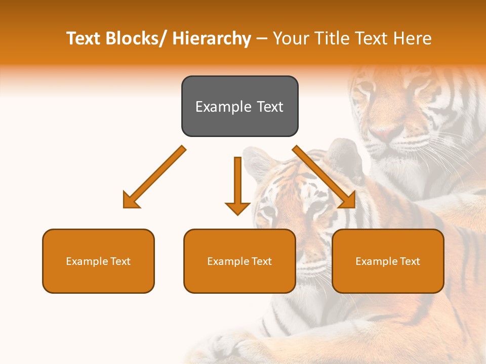 Teeth Hunter Siberian PowerPoint Template