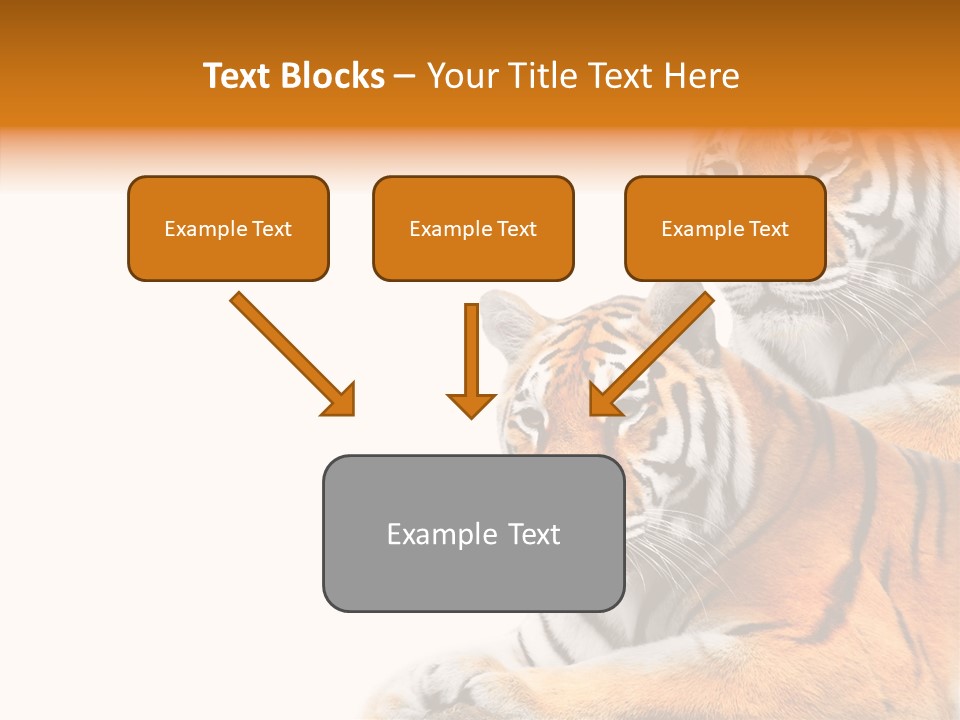 Teeth Hunter Siberian PowerPoint Template