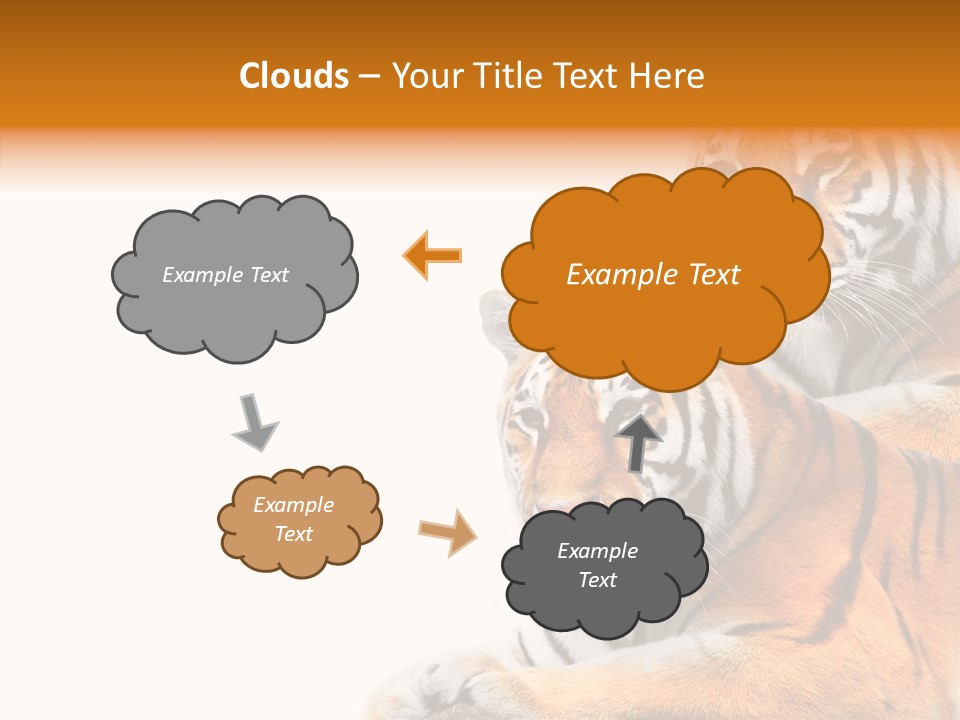 Teeth Hunter Siberian PowerPoint Template