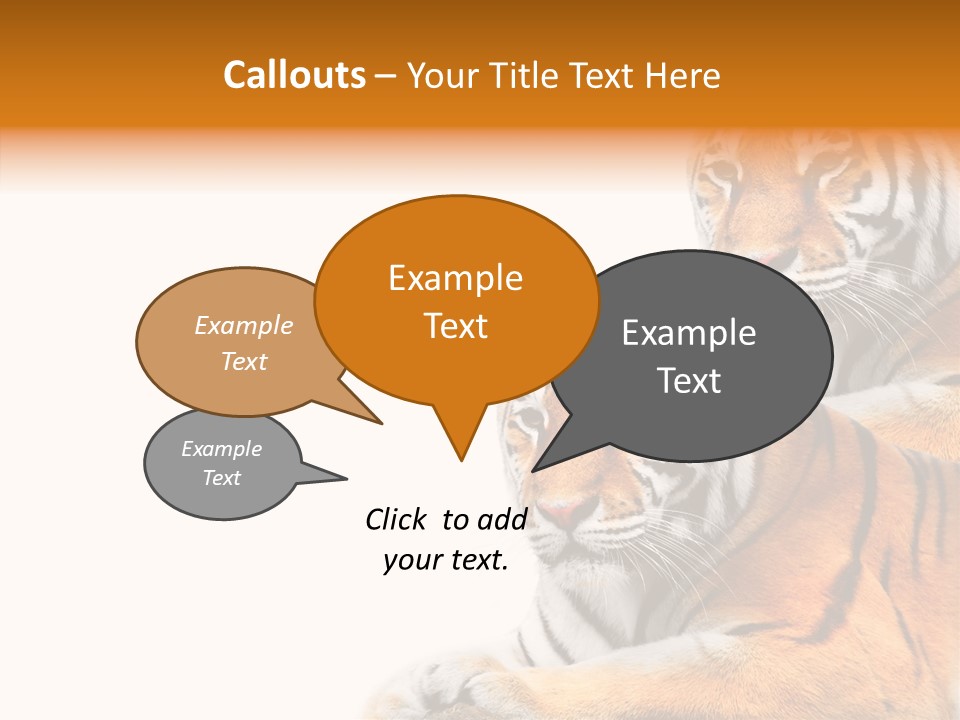 Teeth Hunter Siberian PowerPoint Template