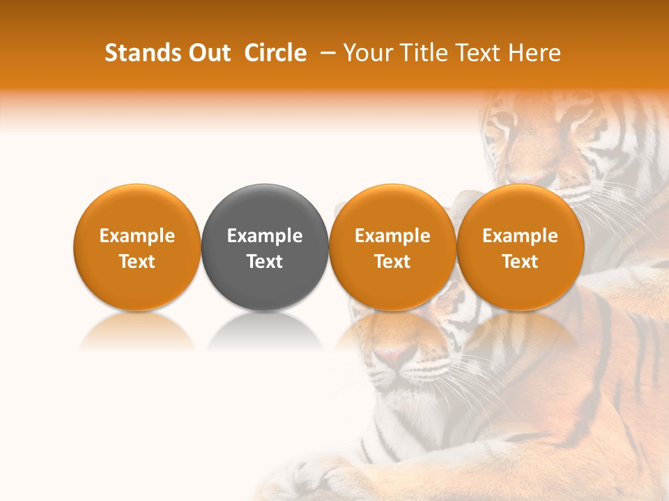 Teeth Hunter Siberian PowerPoint Template