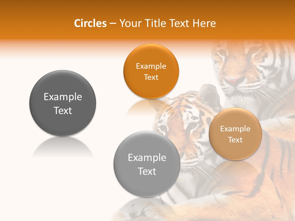 Teeth Hunter Siberian PowerPoint Template