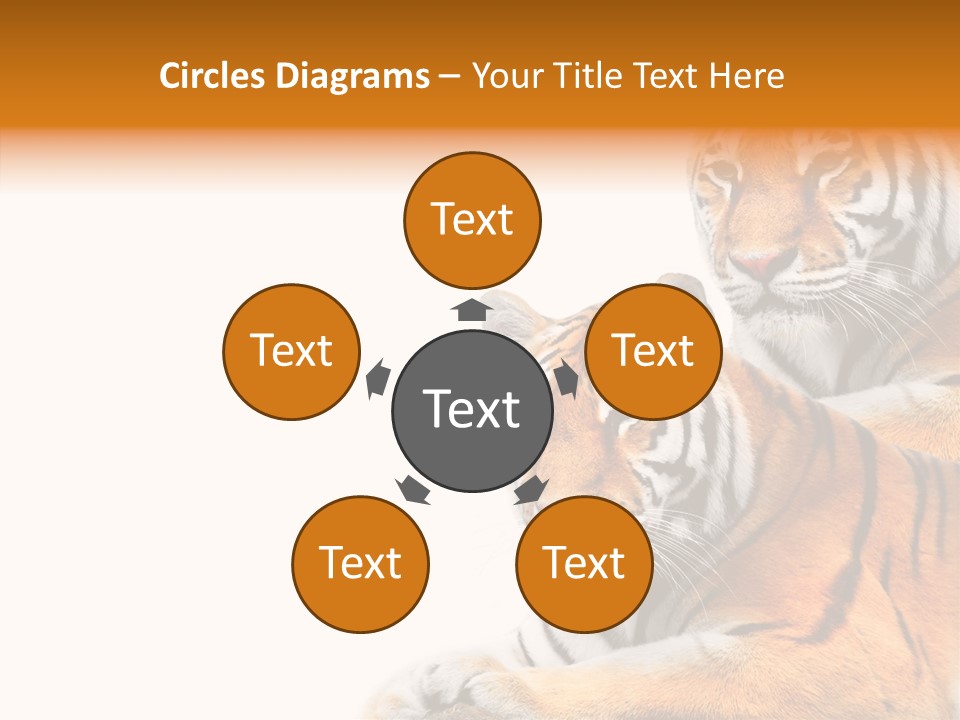 Teeth Hunter Siberian PowerPoint Template