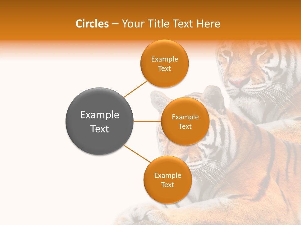 Teeth Hunter Siberian PowerPoint Template