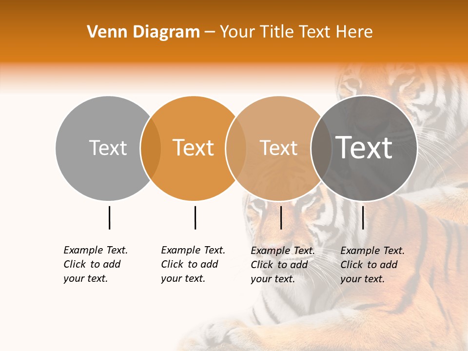 Teeth Hunter Siberian PowerPoint Template