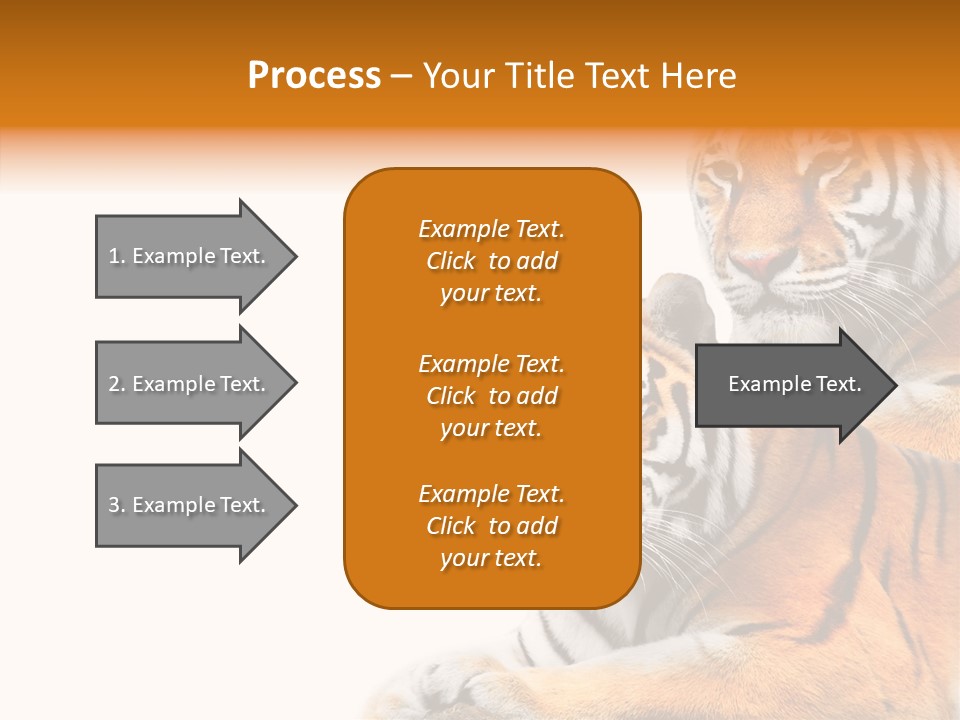 Teeth Hunter Siberian PowerPoint Template