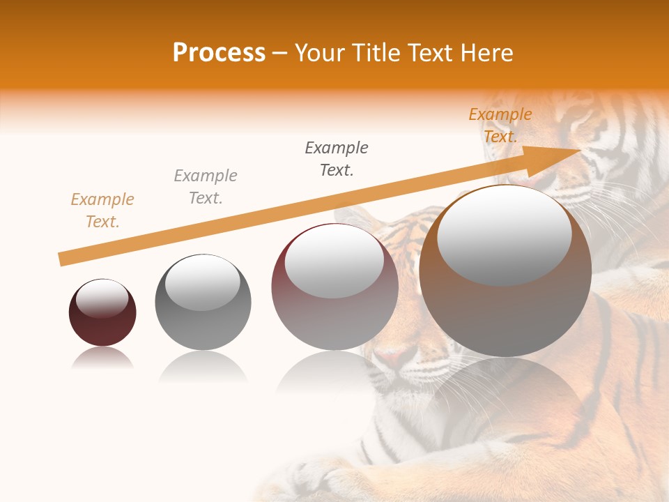 Teeth Hunter Siberian PowerPoint Template