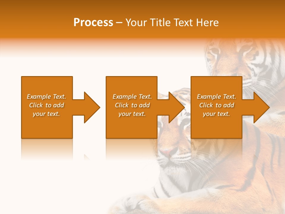 Teeth Hunter Siberian PowerPoint Template