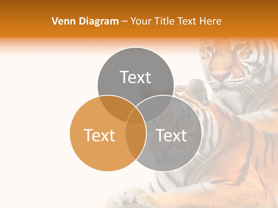 Teeth Hunter Siberian PowerPoint Template