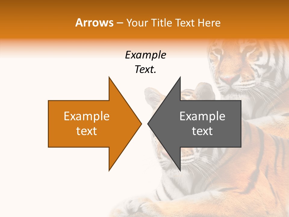 Teeth Hunter Siberian PowerPoint Template