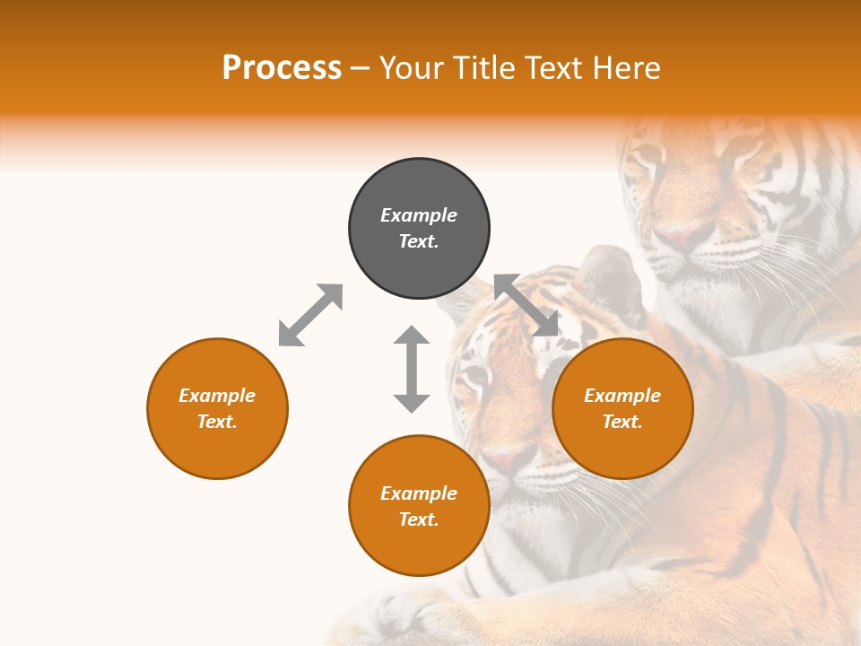 Teeth Hunter Siberian PowerPoint Template