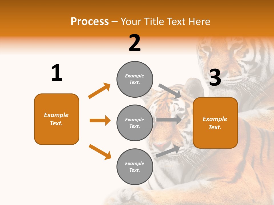 Teeth Hunter Siberian PowerPoint Template