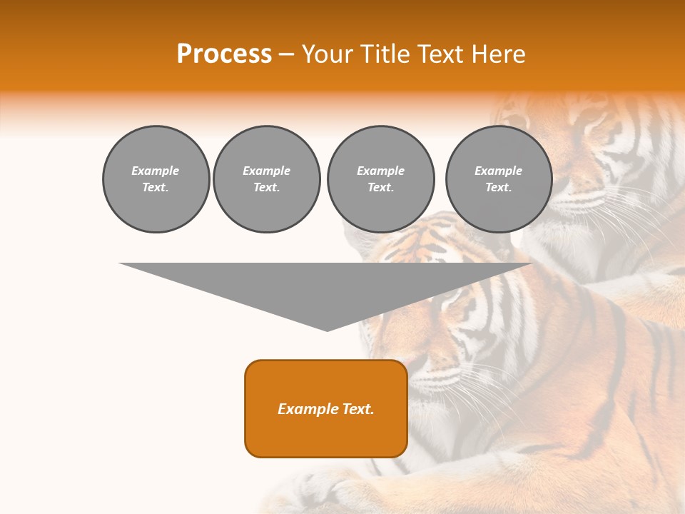 Teeth Hunter Siberian PowerPoint Template