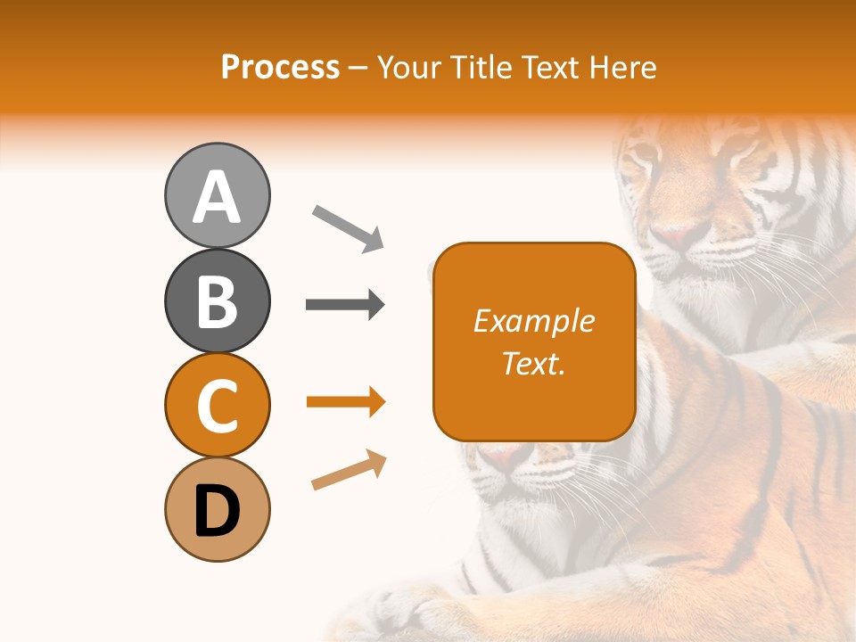 Teeth Hunter Siberian PowerPoint Template