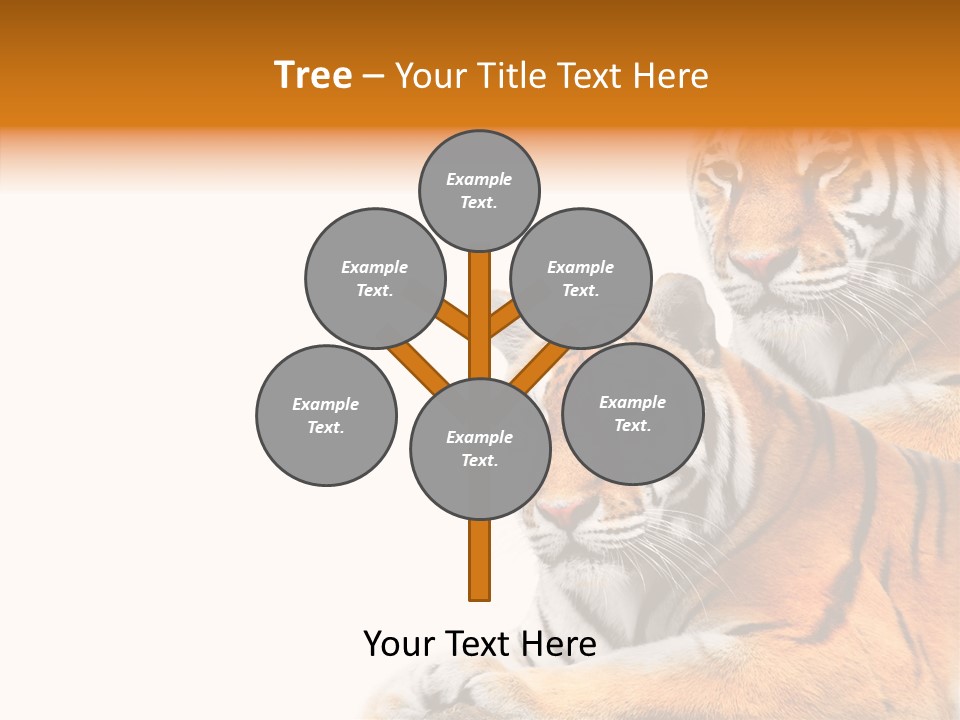 Teeth Hunter Siberian PowerPoint Template