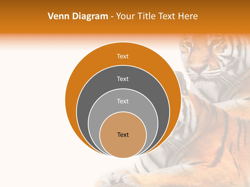 Teeth Hunter Siberian PowerPoint Template