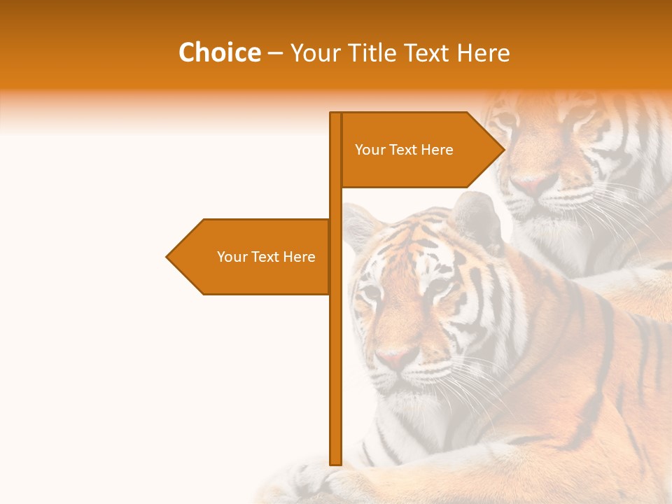 Teeth Hunter Siberian PowerPoint Template