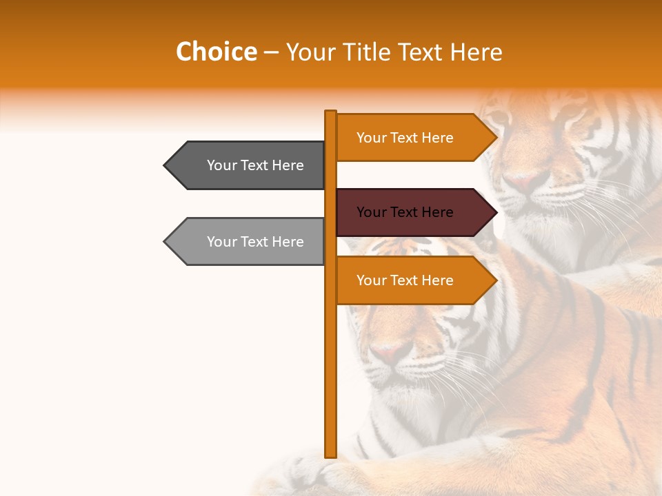 Teeth Hunter Siberian PowerPoint Template