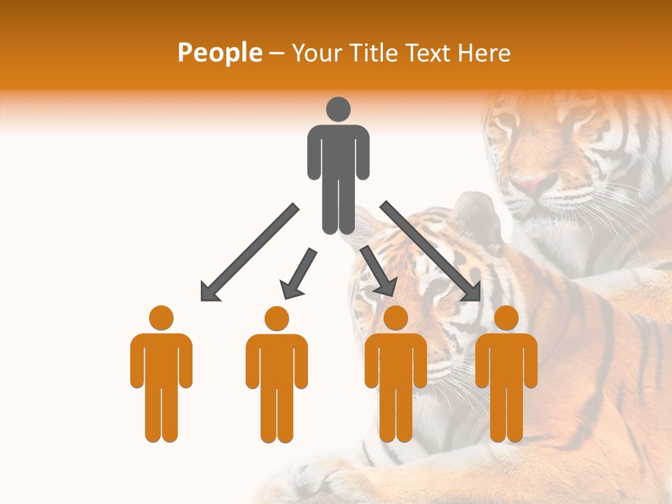 Teeth Hunter Siberian PowerPoint Template