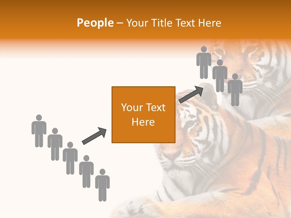 Teeth Hunter Siberian PowerPoint Template