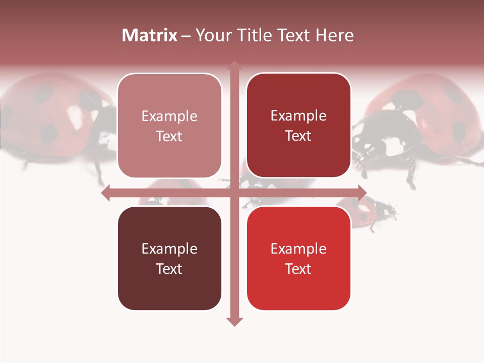 Happy Humorou Per On PowerPoint Template