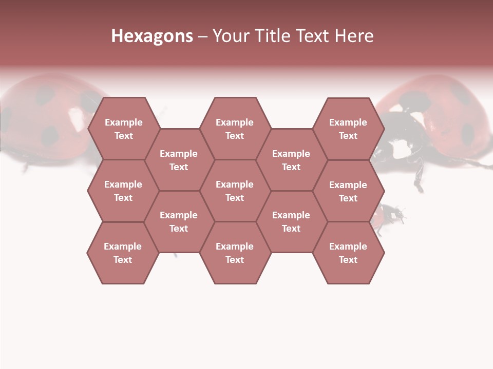 Happy Humorou Per On PowerPoint Template