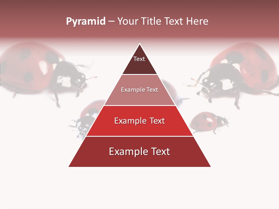 Happy Humorou Per On PowerPoint Template